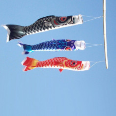 Koinobori bleue 1m 2