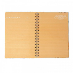 CAHIER SPIRALES FRIENDS 2