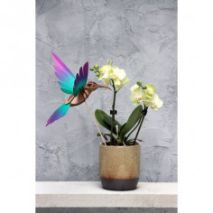 Colibri 3D Origami papier par Assembli