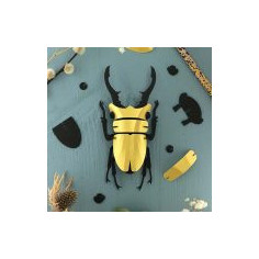 Lucane Cerf Volant / Stag Beetle dorée 3D en carton à...