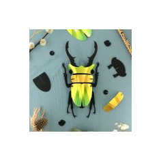 Lucane Cerf Volant / Stag Beetle vert et jaune 3D en...