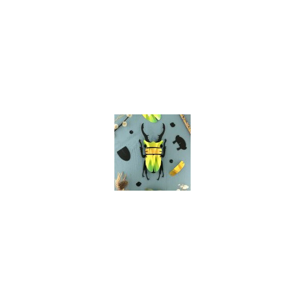 Lucane Cerf Volant / Stag Beetle vert et jaune 3D en carton à monter sois-même