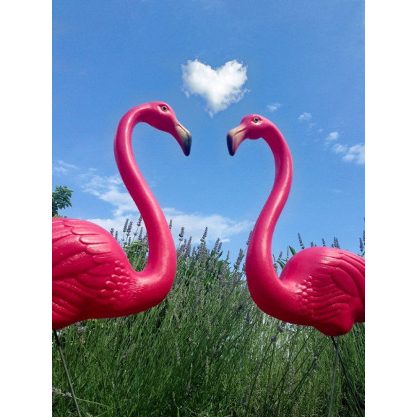 Flamant rose originaux de Don Featherstone...