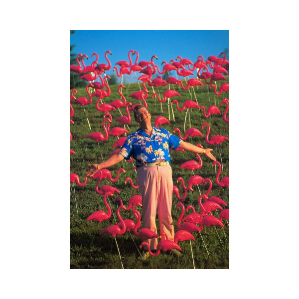Flamant rose originaux de Don Featherstone...