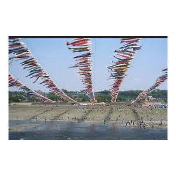 Koinobori verte 70 cm