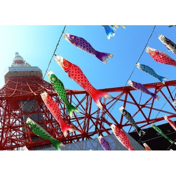 Koinobori rouge 70cm