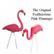 Flamant rose originaux de Don Featherstone  vendu par paire